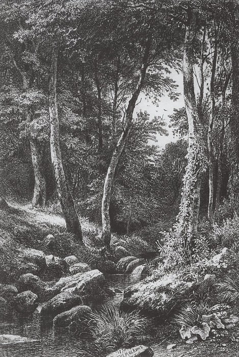 Ручей в лесу. 1870 21х15, Иван Иванович Шишкин