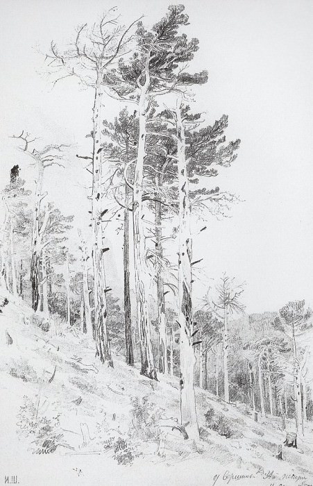 at the top of the Ai-Petri 1879 47h30, 4, Ivan Ivanovich Shishkin