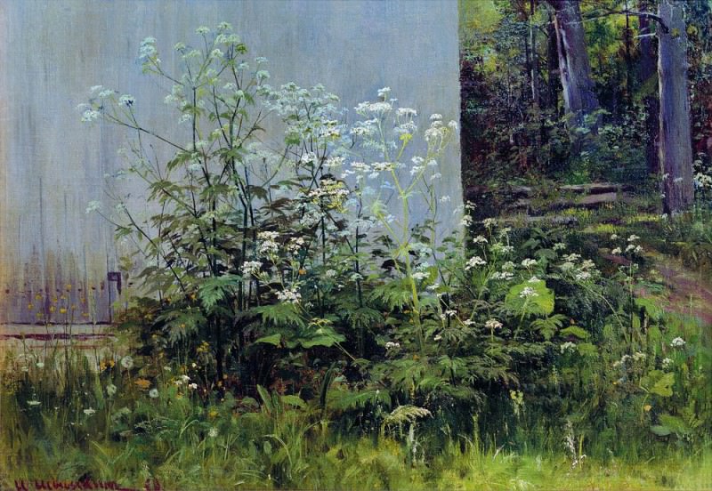 Flowers fence. Mid-1880 38h54, Ivan Ivanovich Shishkin