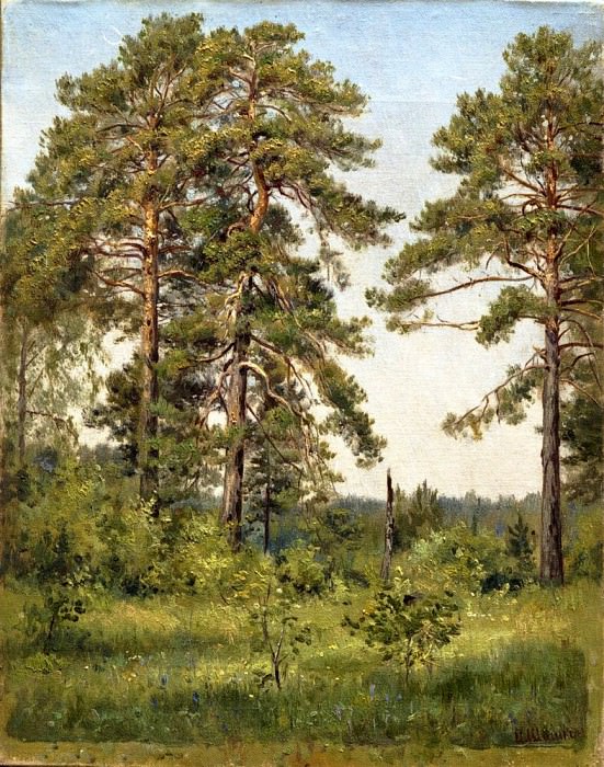 Edge of pine forest, Ivan Ivanovich Shishkin