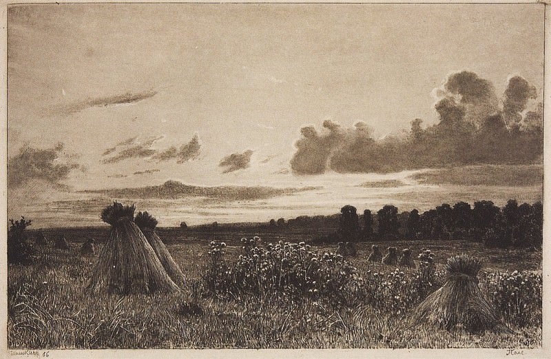 Field. 1886 21, 8h32, 5, Ivan Ivanovich Shishkin