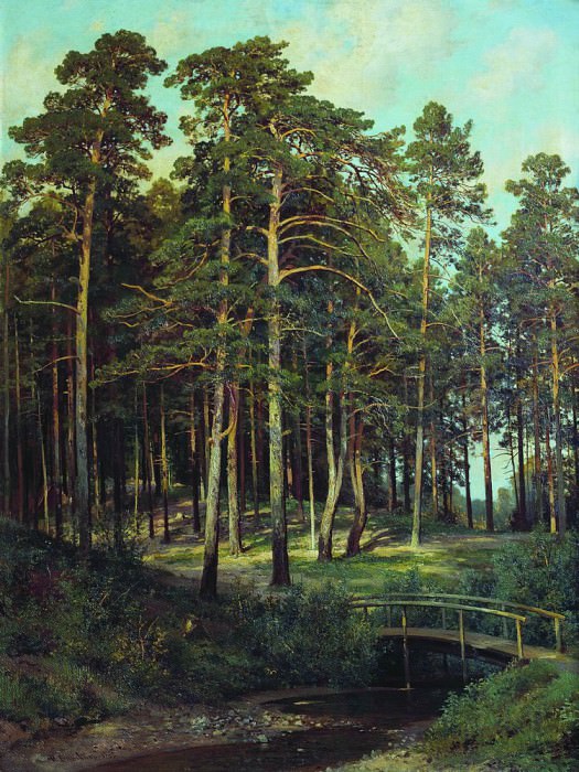 Bridge in the woods 1895 108h81, Ivan Ivanovich Shishkin