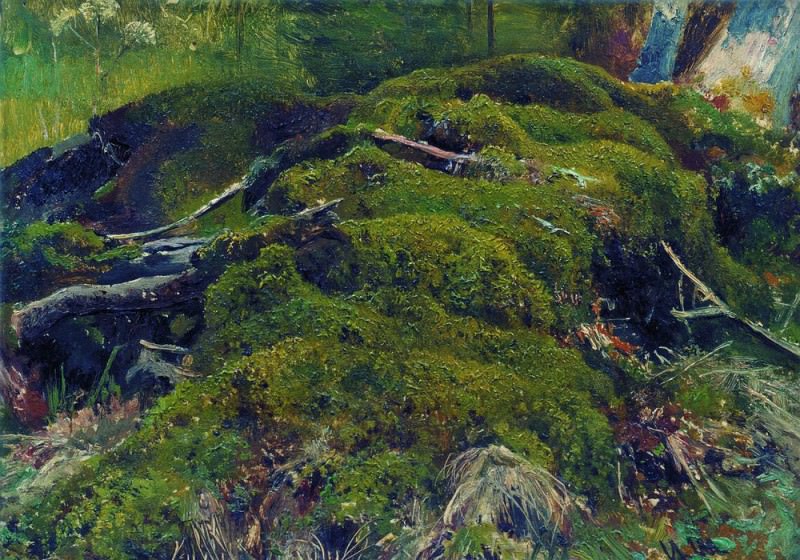 Moss. Roots. Etude 26h36, Ivan Ivanovich Shishkin