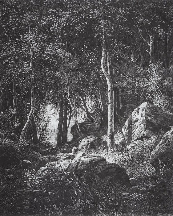 On the edge of a birch grove. Valaam Island. 1859-1860 44, 4h37, 5, Ivan Ivanovich Shishkin