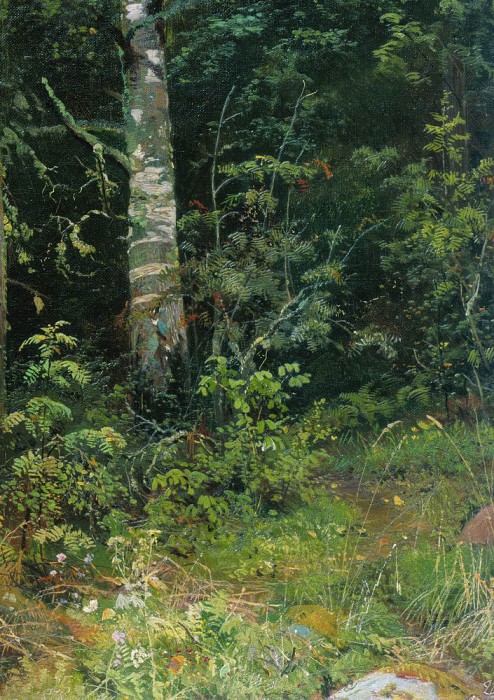 birch and rowan 1878 38h28. 5, Ivan Ivanovich Shishkin