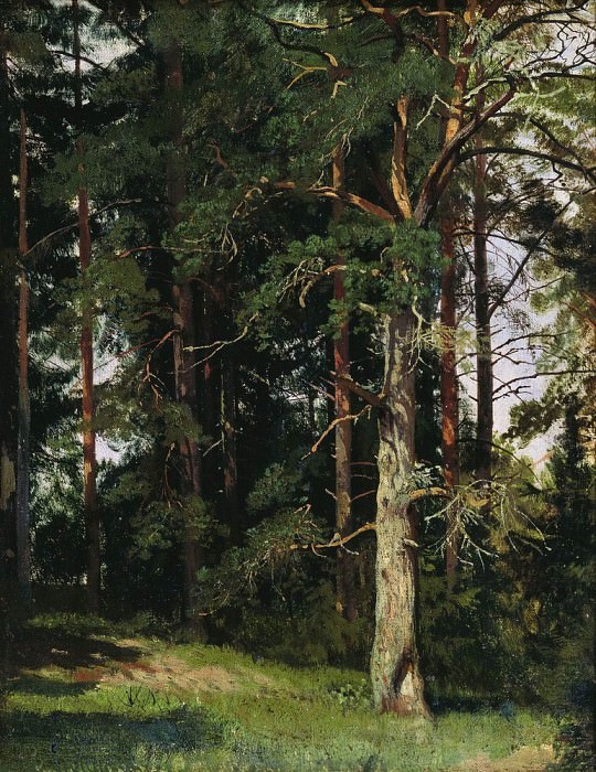 Forest 1880 38h30, Ivan Ivanovich Shishkin
