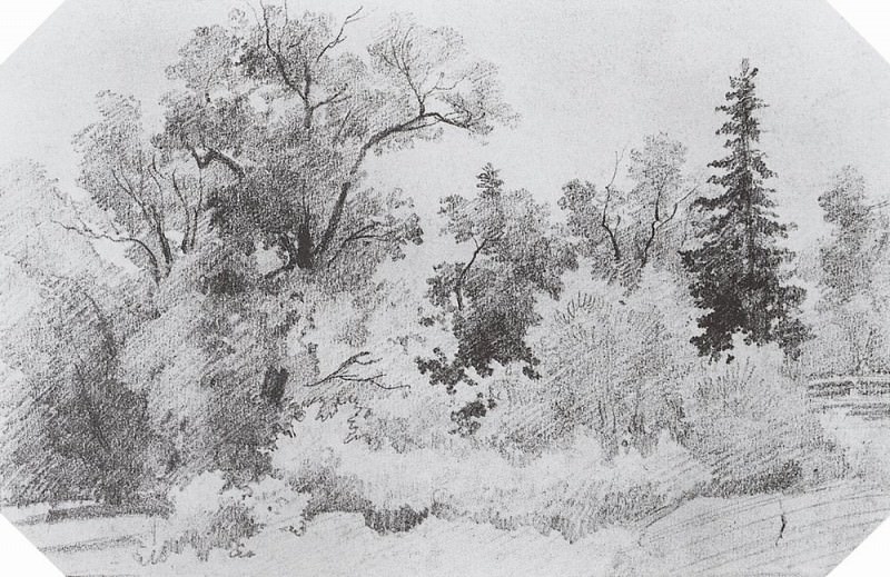 Опушка леса 1850-е 12х19. 4, Иван Иванович Шишкин