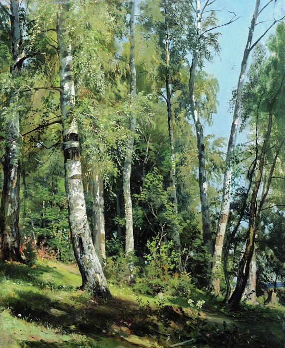 1896 Birchwood 105. 8h69, 8, Ivan Ivanovich Shishkin