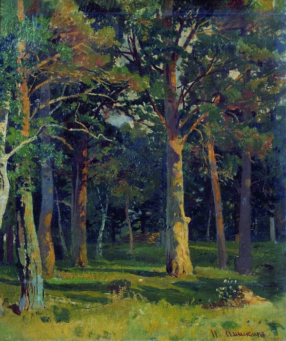 Forest, pine 45, 5h38, 5, Ivan Ivanovich Shishkin