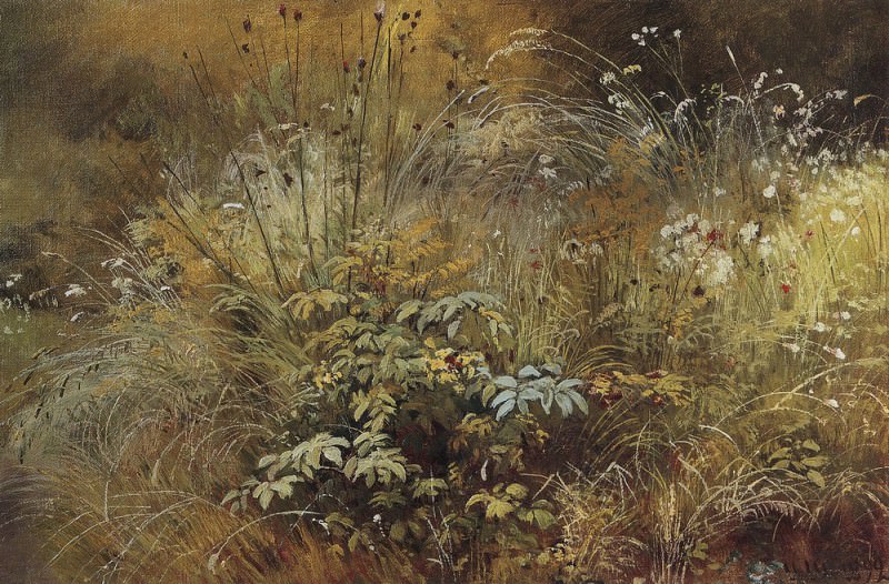 Grass. Study 1892 24. 7h39. 6, Ivan Ivanovich Shishkin