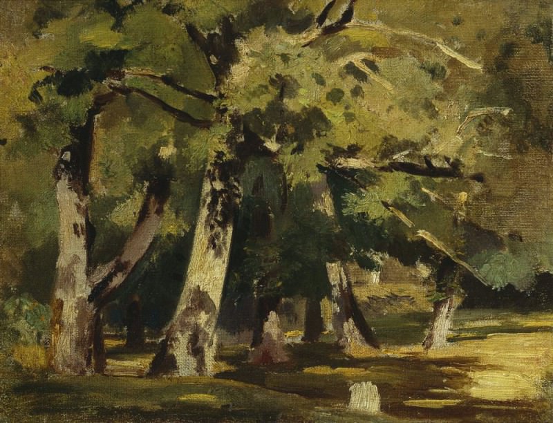 Oaks sunlight 1890 22х28, 5, Ivan Ivanovich Shishkin