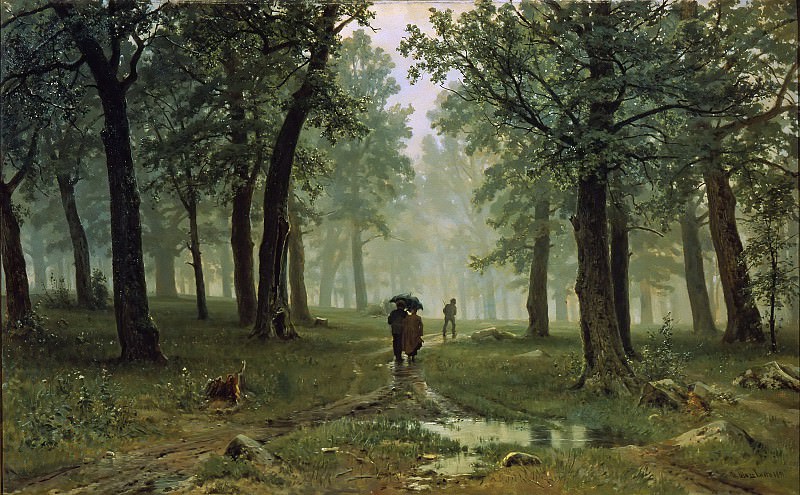 Rain in the oak forest