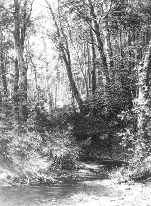 Ручей в лесу 1880-е 67х52, Иван Иванович Шишкин