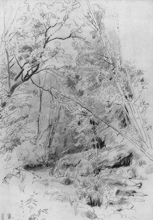 Above water. 1880, 39, 4h27, 8, Ivan Ivanovich Shishkin
