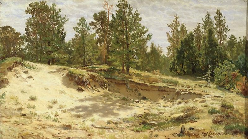 Молодые сосенки у песчаного обрыва 1890 33х59, Иван Иванович Шишкин
