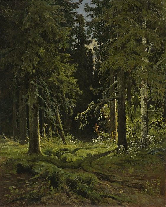 Лесной пейзаж 1878 45х35, Иван Иванович Шишкин