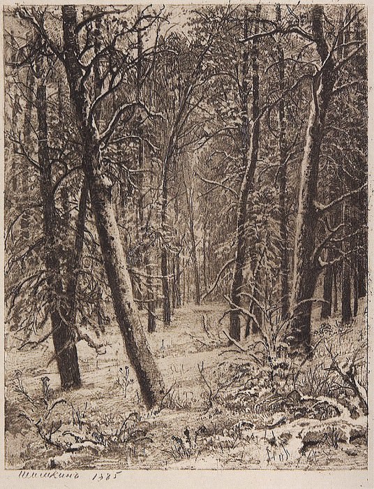 Winter. 1885 24, 3h19, Ivan Ivanovich Shishkin