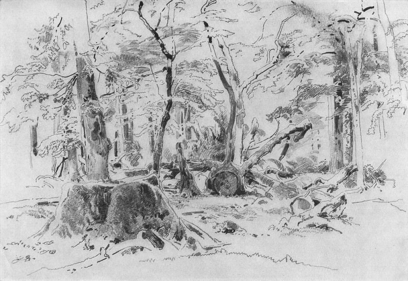 Спиленное дерево 1870-е 23х32, Иван Иванович Шишкин