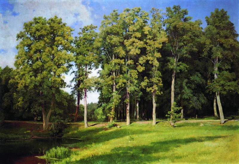 grove near the pond. Preobrazhenskoe 1896 97h107, Ivan Ivanovich Shishkin