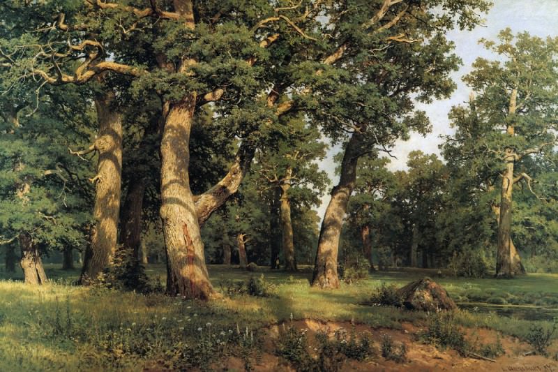 oak. grove 1887125h193, Ivan Ivanovich Shishkin