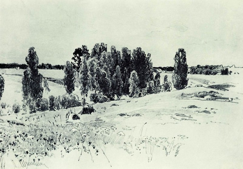 Fields and groves of 1880, 23, 432, 4, Ivan Ivanovich Shishkin