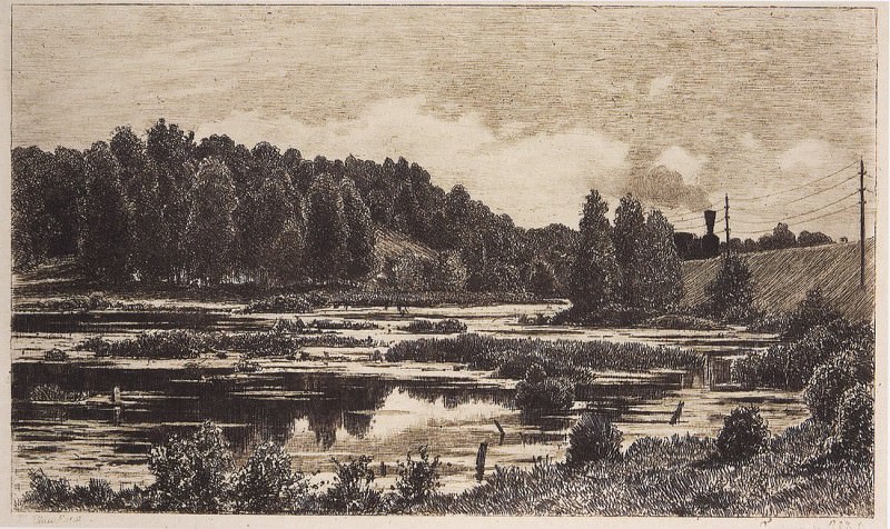 Swamp. 1886 17 5h28, Ivan Ivanovich Shishkin