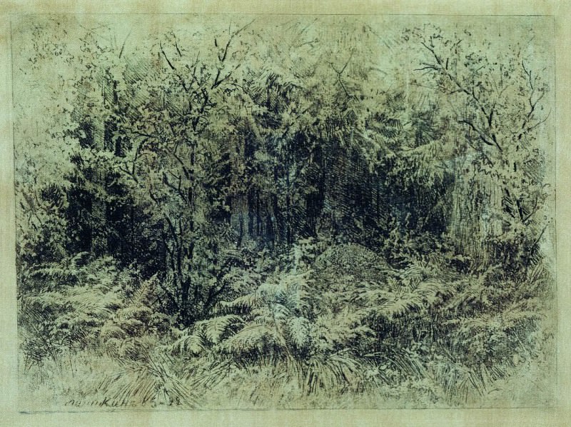 ant. 1892 18x24, 5, Ivan Ivanovich Shishkin
