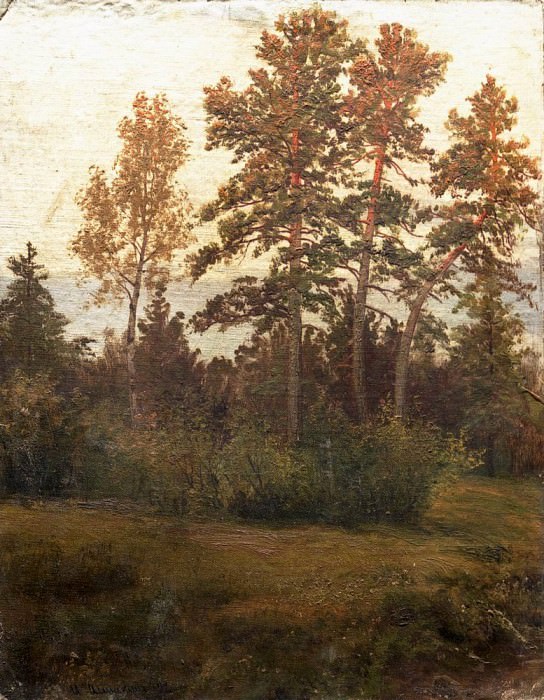 Опушка леса 1892, Иван Иванович Шишкин