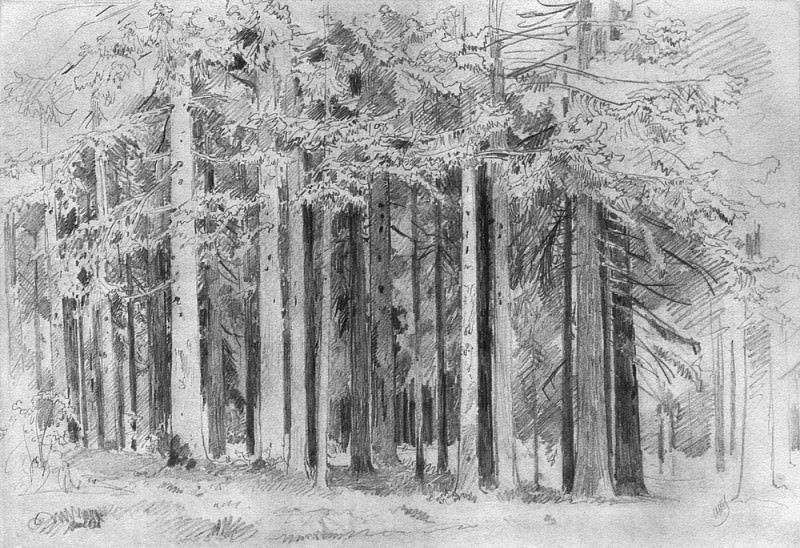 Forest 1880, 31, 2h47, Ivan Ivanovich Shishkin