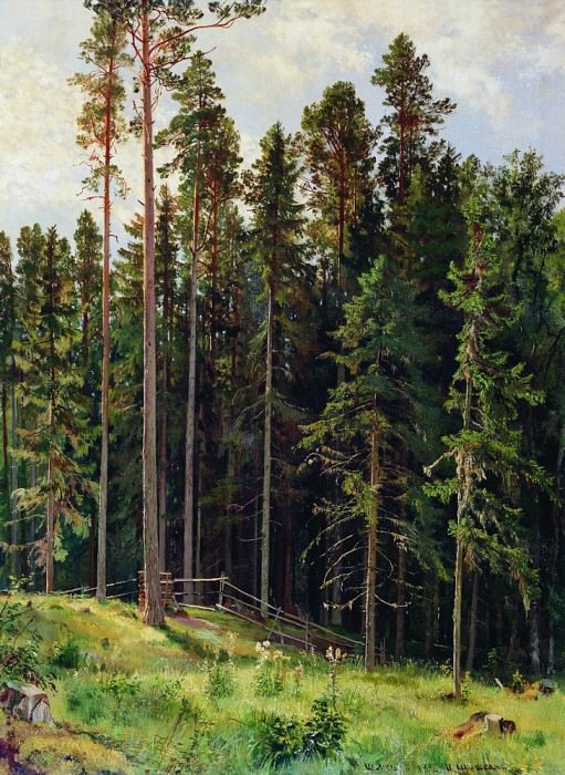 1892 Forest 112h86, Ivan Ivanovich Shishkin