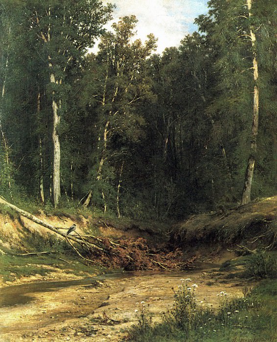 Forest Brook . 1874 74, 5h61, Ivan Ivanovich Shishkin