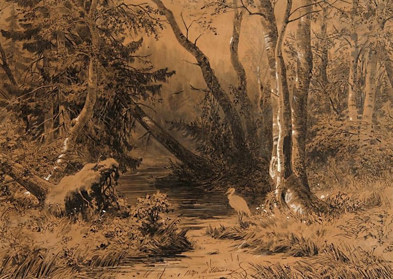 Backwoods 1870 37, 2h54 ink, pencil, pen, white and brush., Ivan Ivanovich Shishkin
