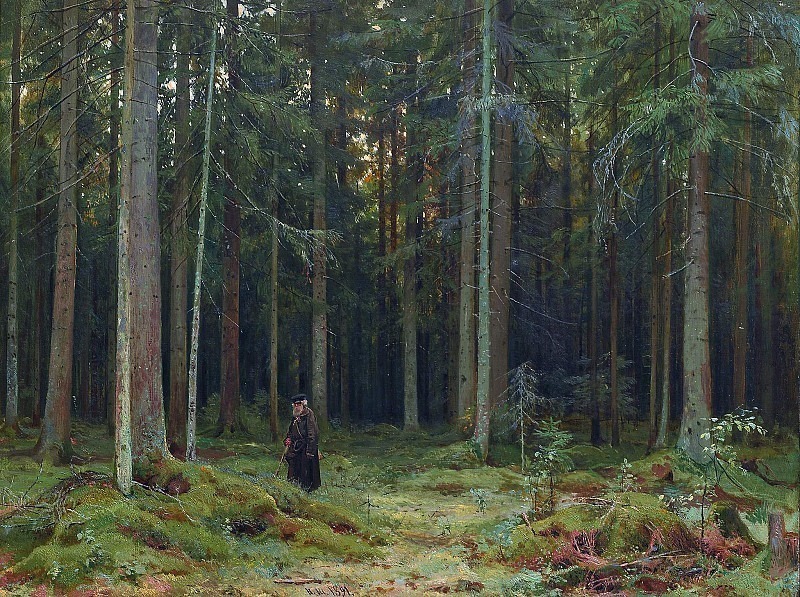 In the forest of Countess Mordvinova. Peterhof