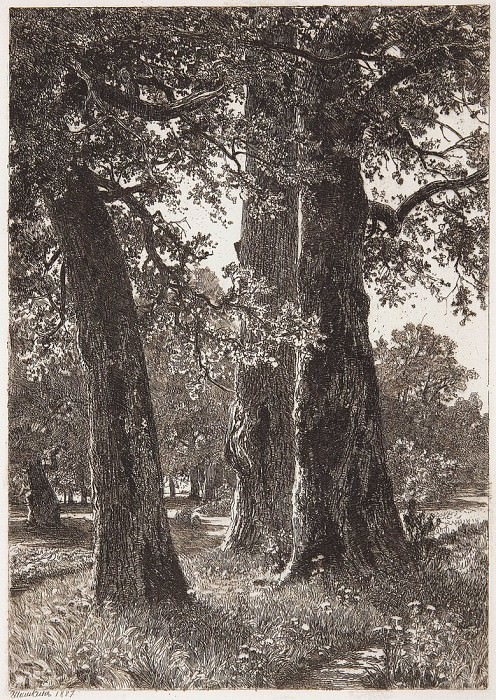 Three oak. 1887, 22 5x15, 8, Ivan Ivanovich Shishkin