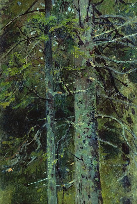 Forest. Etude 26h28, Ivan Ivanovich Shishkin