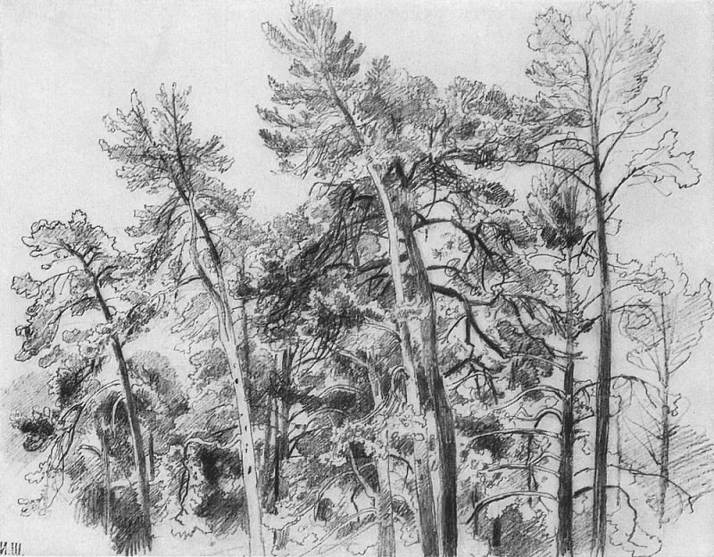 tops of the pines 1890 32. 7h41. 8, Ivan Ivanovich Shishkin