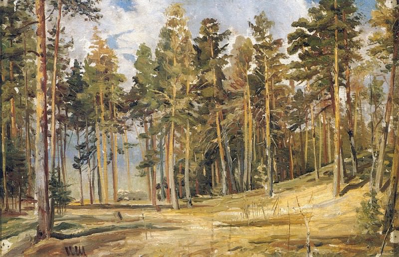 Pine. A sunny day the 1890 23h35, Ivan Ivanovich Shishkin