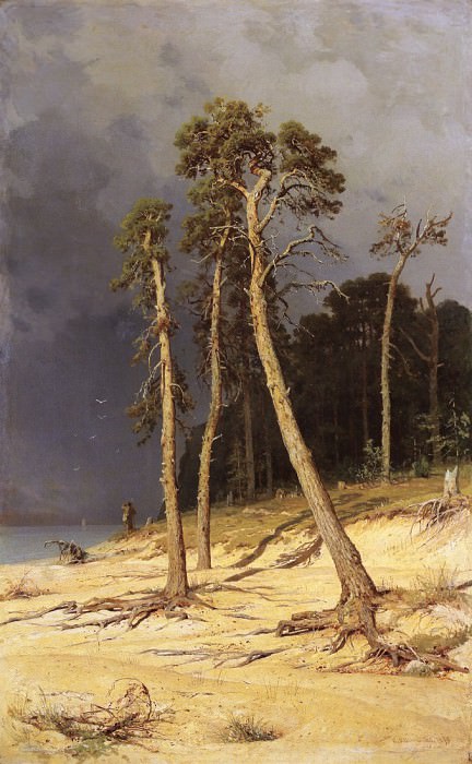 sandy shore. 1879 142, 2h88, Ivan Ivanovich Shishkin