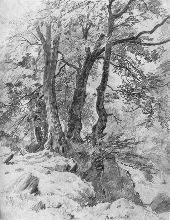 В лесу 1886 47х32. 8, Иван Иванович Шишкин