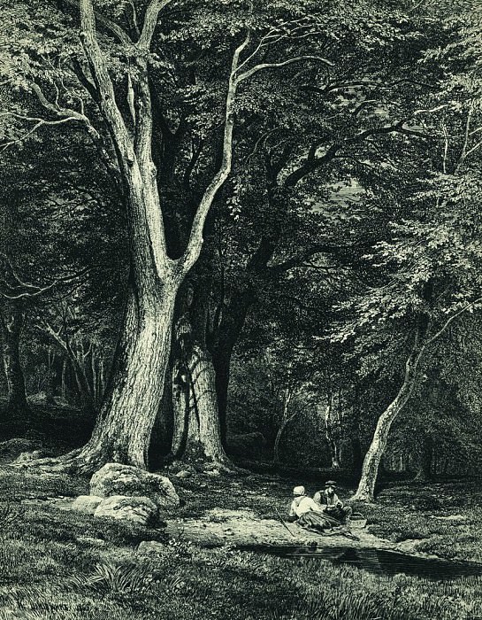 Forest. 1869 47h36, 5, Ivan Ivanovich Shishkin