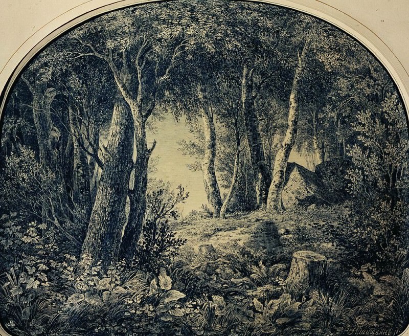 Forest Paper, ink, pen 46h56, Ivan Ivanovich Shishkin