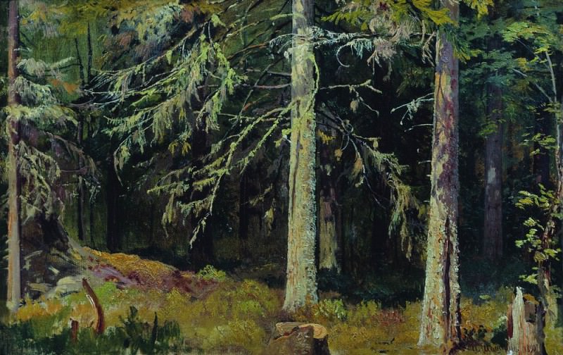 Еловый лес 1890 36х59, Иван Иванович Шишкин