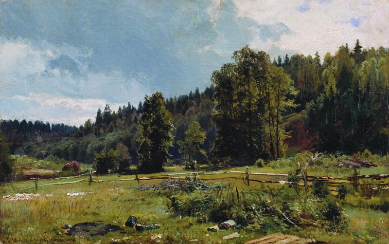 meadow at the edge of the forest. Siverskaya. 1887 33, 5h53, 5, Ivan Ivanovich Shishkin