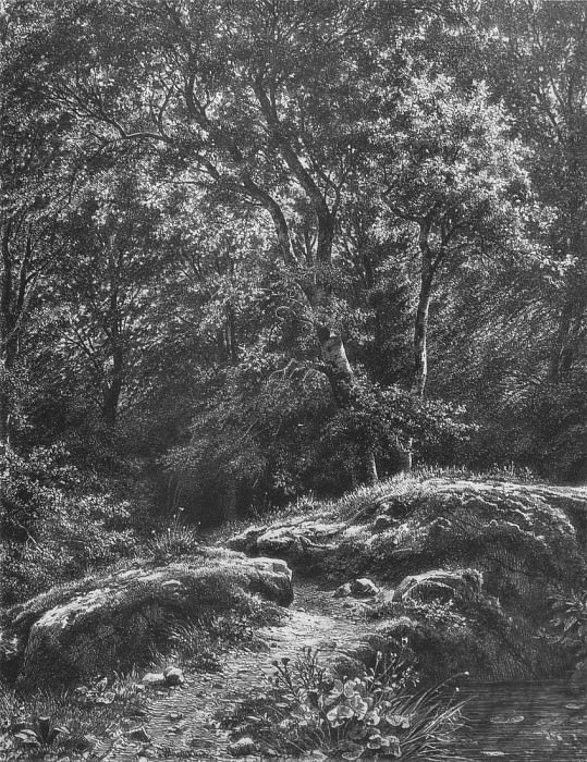 track in the woods. 1871 46, 2h34, 9, Ivan Ivanovich Shishkin