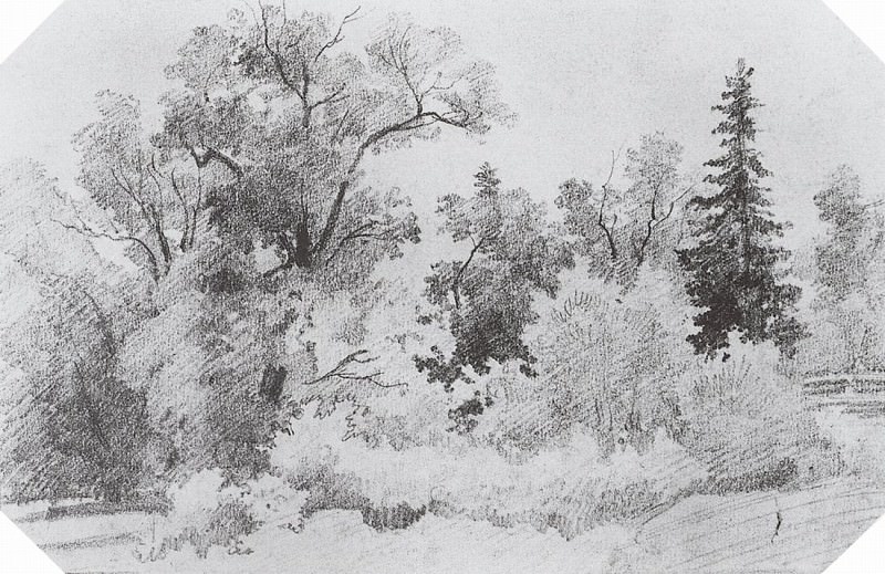 Опушка леса. 1850-е 12х19, 4, Иван Иванович Шишкин