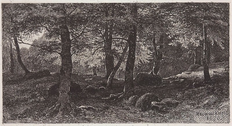 Beech Grove. 1870 13, 3h24, 2, Ivan Ivanovich Shishkin