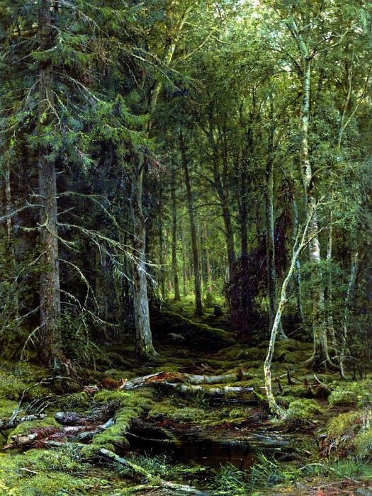 Backwoods 1872 209h161, Ivan Ivanovich Shishkin