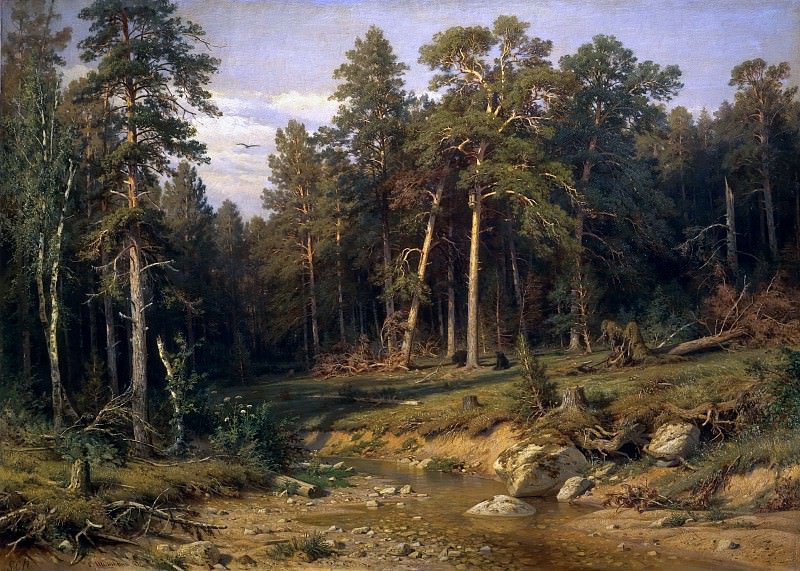 Pine Forest. Pine Forest in the Vyatka province, Ivan Ivanovich Shishkin
