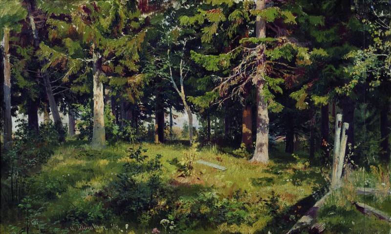 Поляна в лесу 1889 38х62, Иван Иванович Шишкин