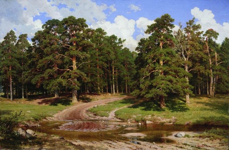 1895 Pine Forest 128h195, Ivan Ivanovich Shishkin